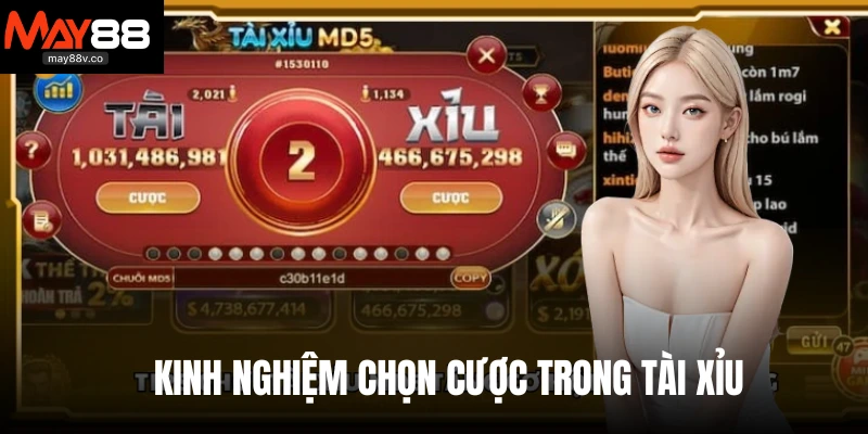 Kinh nghiệm chọn cược trong Tài xỉu